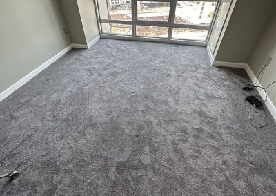 Carpet Cleaning Services-2