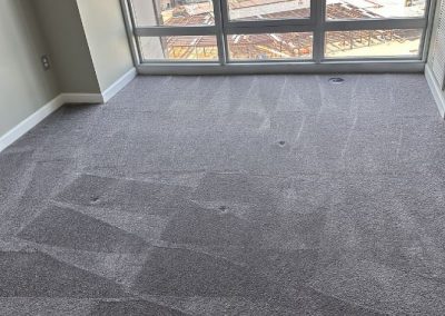 Carpet Cleaning Services